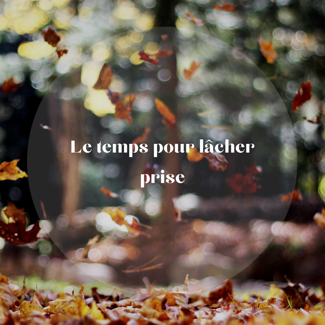 article blog Delphine Piron